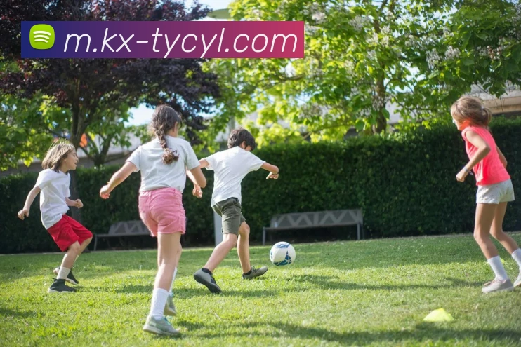 澳门太阳城官网服务体系